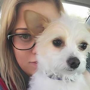 Meet your Posher, Caitlin